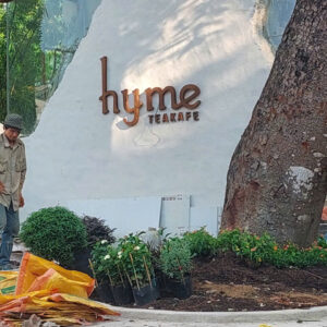 Thi công nội thất gỗ thông quán cà phê hyme Bình Dương