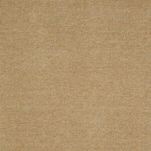 Thảm cuộn văn phòng C103